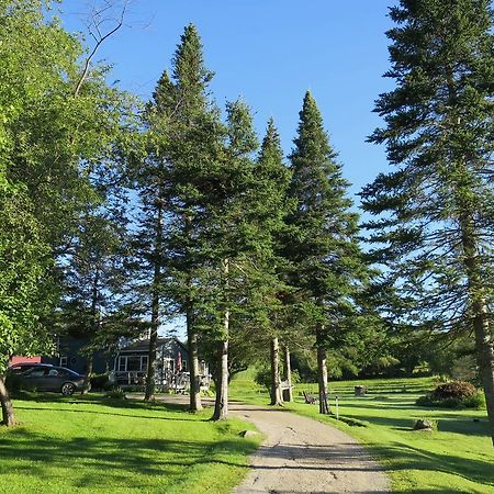 Firefly Bed & Breakfast Lincoln Eksteriør bilde