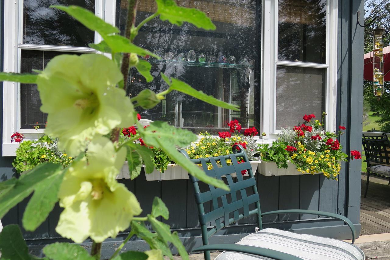 Firefly Bed & Breakfast Lincoln Eksteriør bilde