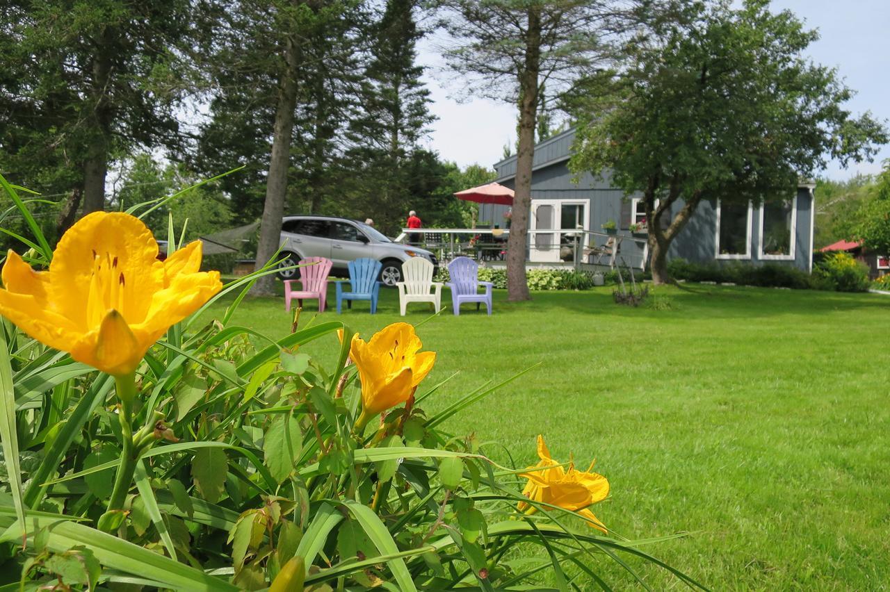 Firefly Bed & Breakfast Lincoln Eksteriør bilde