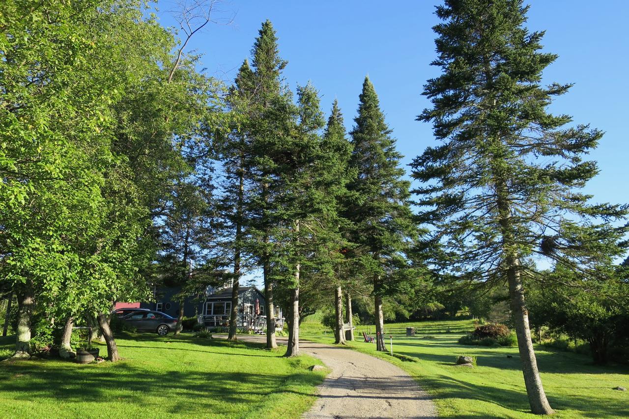 Firefly Bed & Breakfast Lincoln Eksteriør bilde